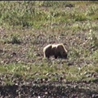 Screen Shot 2016-07-14 at 11.05.07 PM.jpg